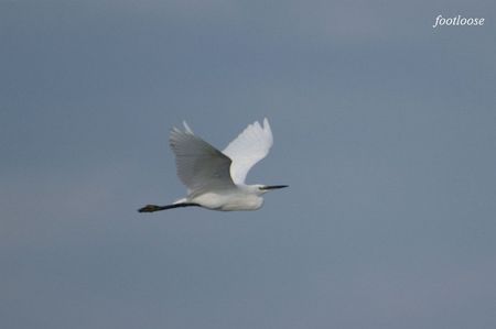 20080831_130.jpg