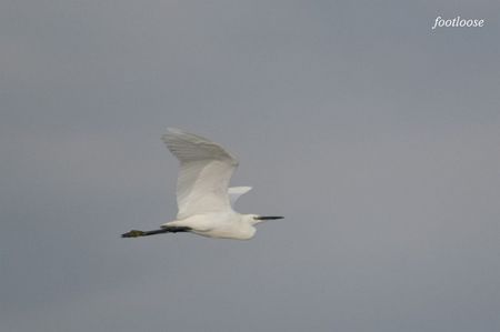 20080831_131.jpg