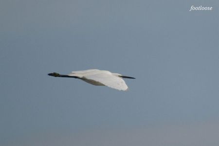 20080831_134.jpg