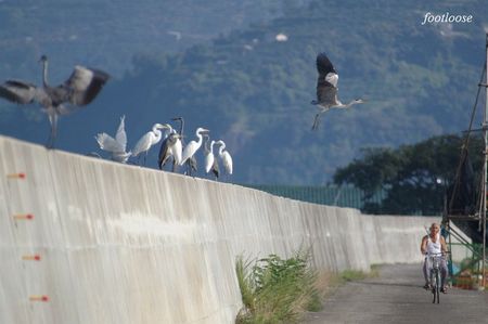 20080831_163.jpg