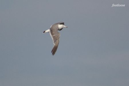 20080831_240.jpg