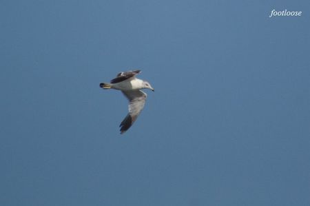 20080831_269.jpg