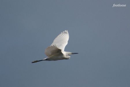 20080831_284.jpg