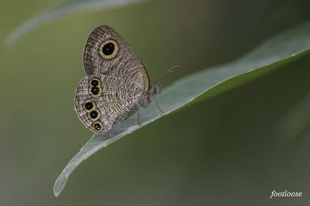 20080901_073.jpg