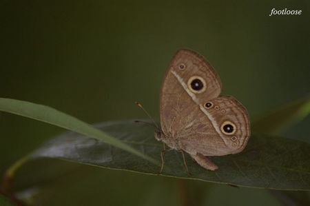 20080901_094.jpg