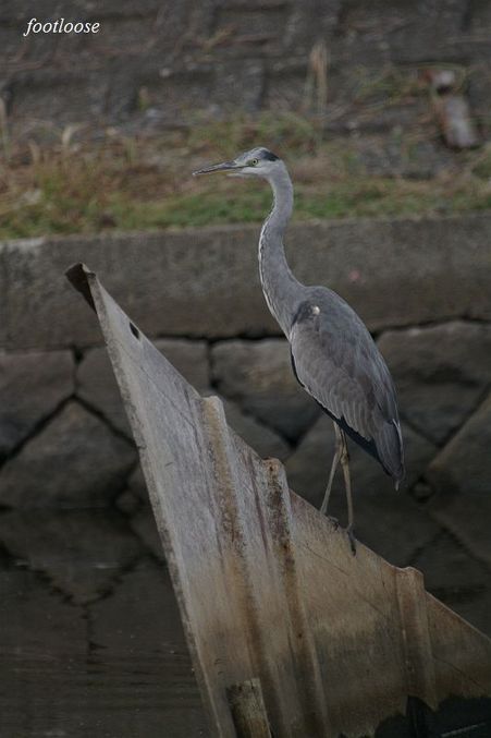 20080913_076.jpg