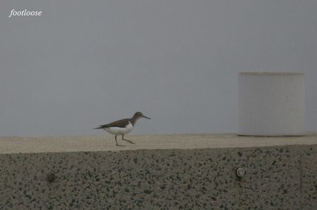 20080913_113.jpg