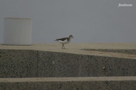 20080913_114.jpg