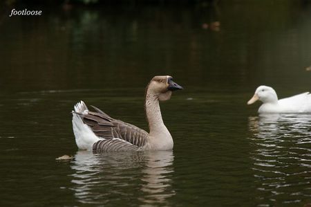 20081130_020.jpg