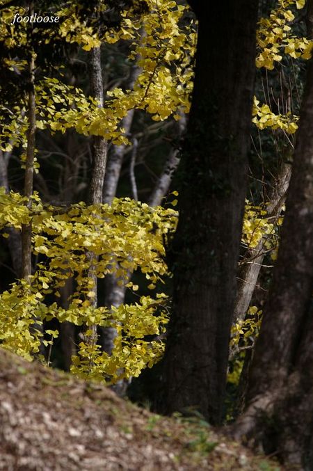 20081130_044.jpg