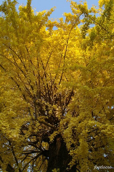 20081130_125.jpg