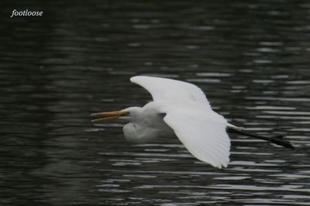 20090228_060.jpg