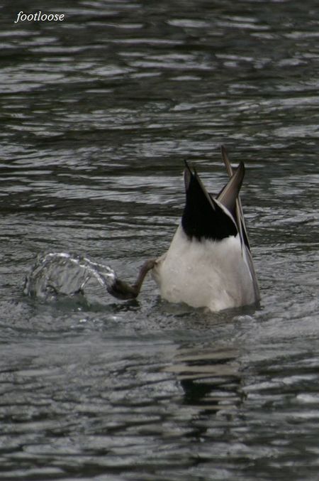 20090228_079.jpg