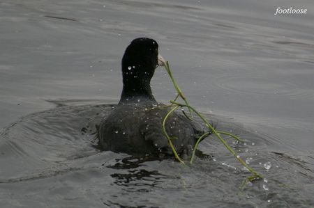 20090228_144.jpg