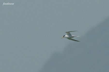 20090419_628.jpg