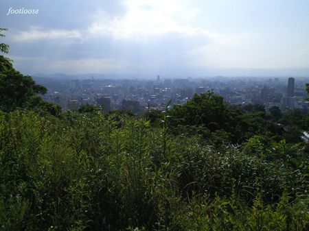 20090531_005.jpg