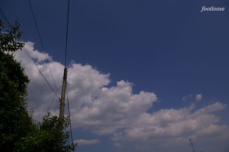 20090531_037.jpg
