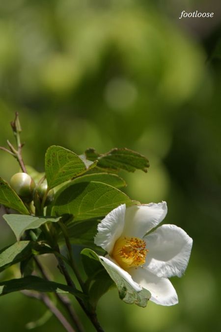 20090531_053.jpg