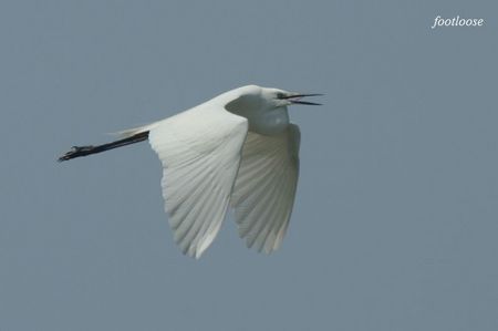 20090614_035.jpg
