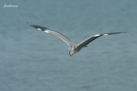 20090614_496.jpg