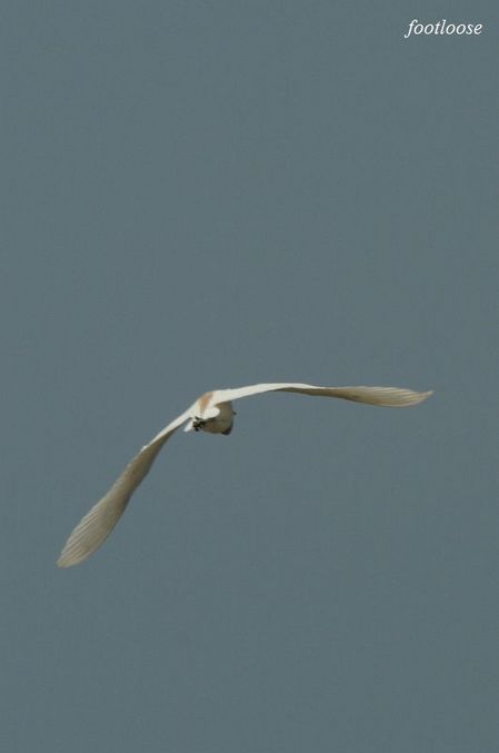 20090614_717.jpg