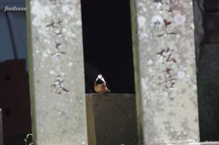 20090620_306.jpg