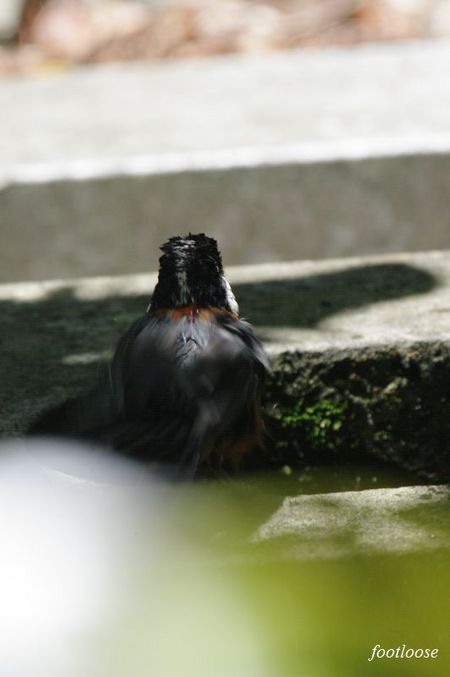 20090620_351.jpg