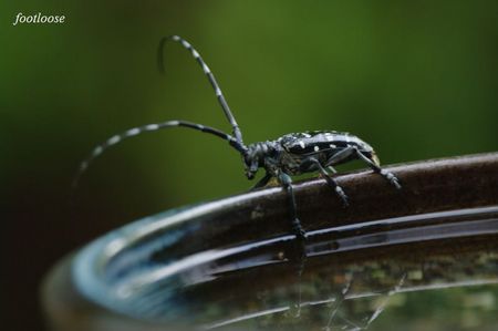 20090706_013.jpg