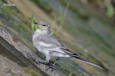 20090707_015.jpg