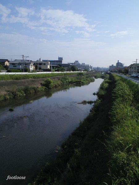20090707_239.jpg