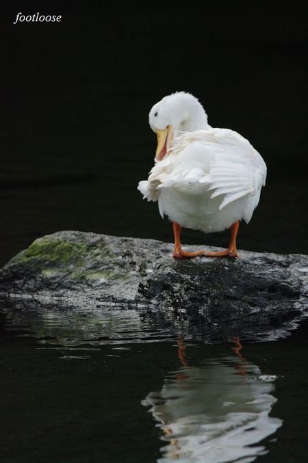 20090731_034.jpg
