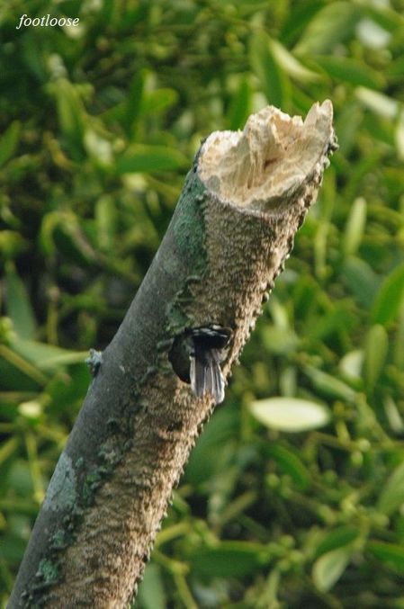 20090731_080.jpg