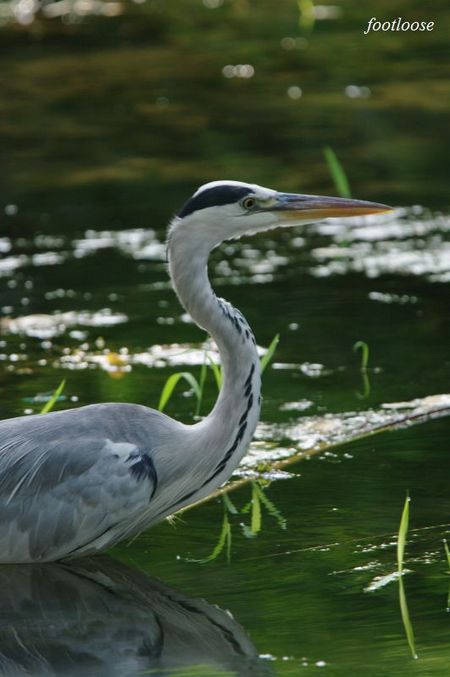 20090731_195.jpg