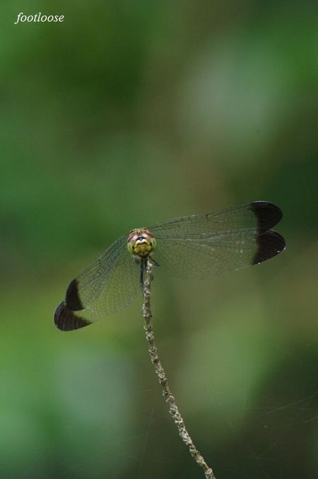 20090802_083.jpg