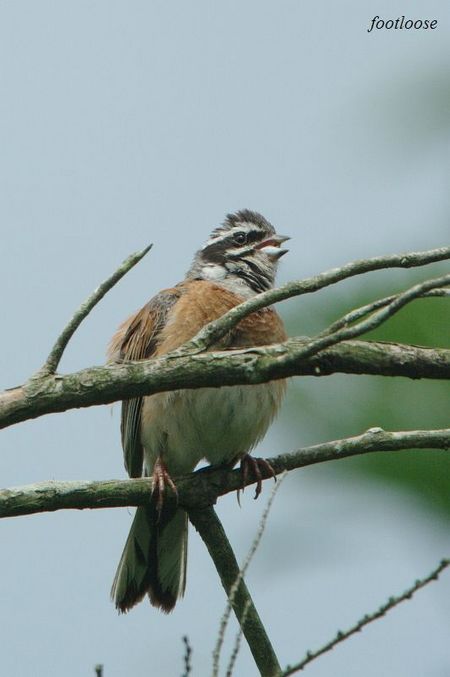 20090802_184.jpg