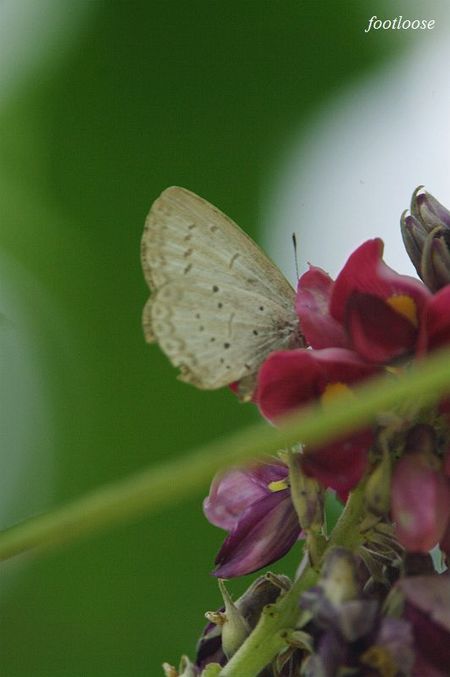 20090802_230.jpg