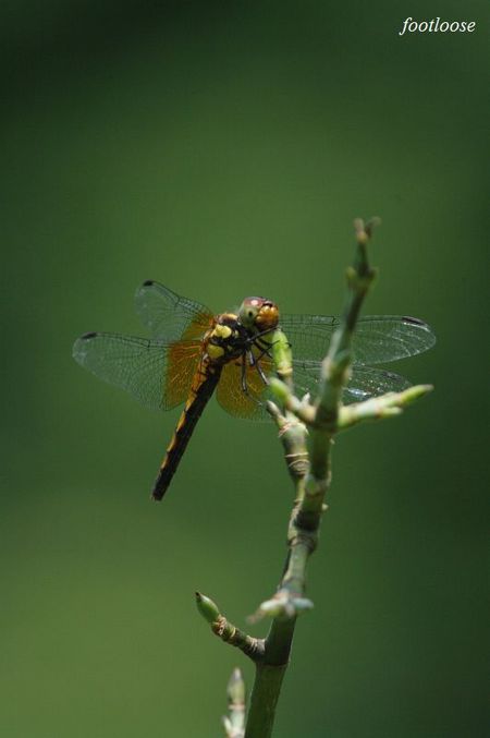 20090802_329.jpg