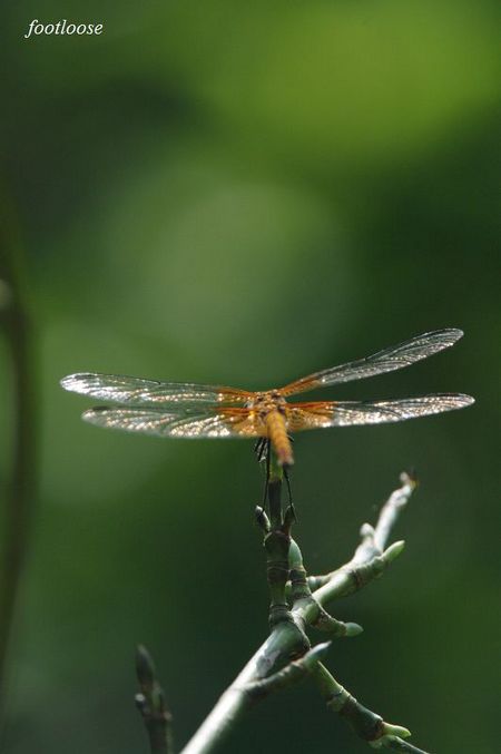 20090802_331.jpg