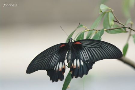 20090816_014.jpg