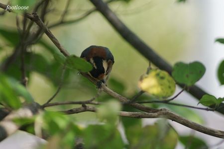 20090820_090.jpg