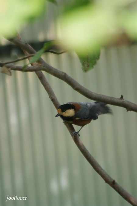20090820_099.jpg