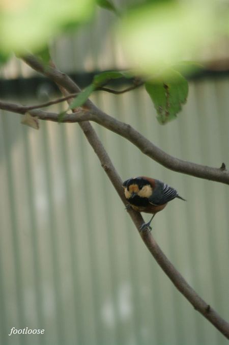 20090820_100.jpg