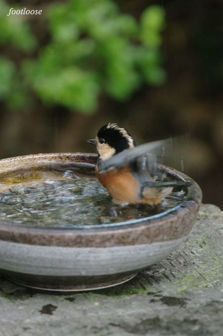 20090820_105.jpg