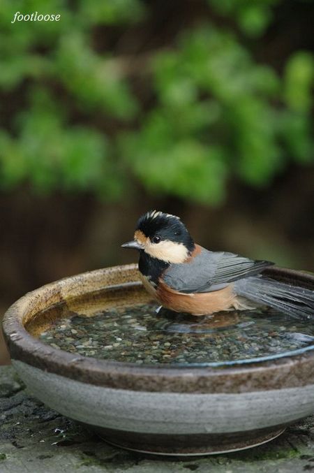 20090820_117.jpg