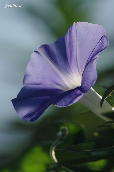 20090824_182.jpg