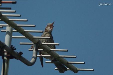 20090825_015.jpg