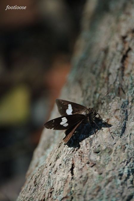20090825_022.jpg