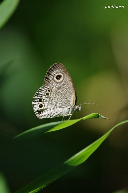 20090825_036.jpg