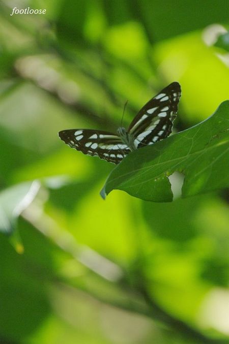 20090825_056.jpg