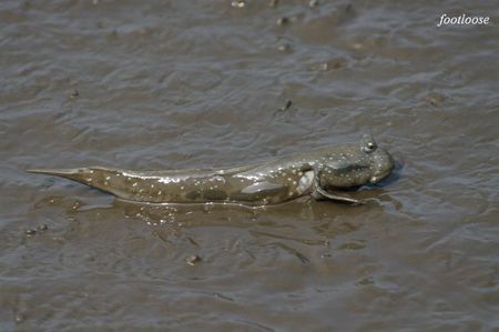 20090830_035.jpg